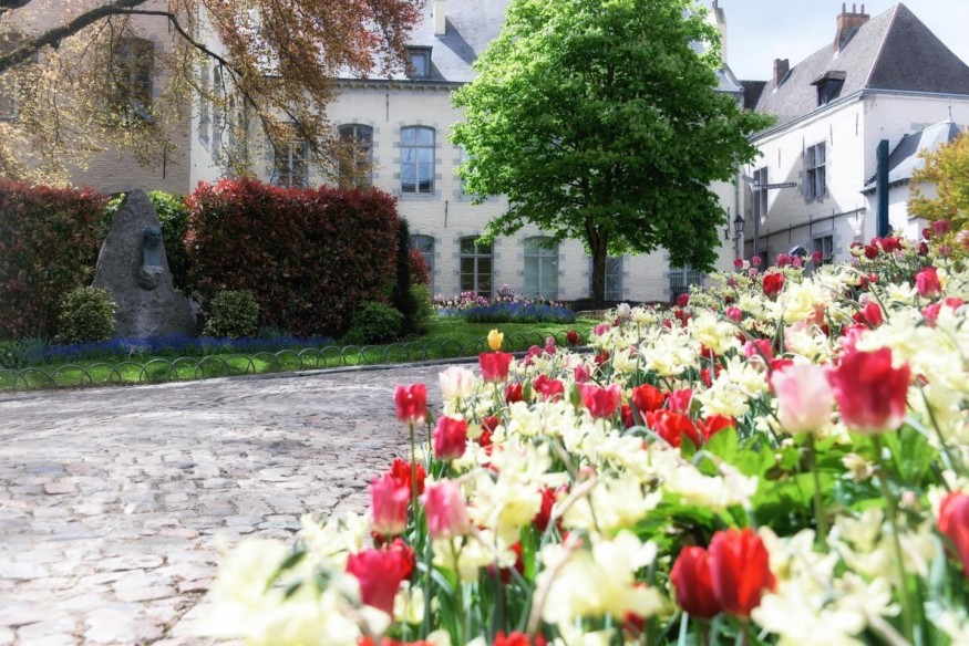 Mons obtient un subside de 7 millions d'euros pour la rénovation de l'Hôtel de Ville, un projet de mise en valeur de son patrimoine historique.