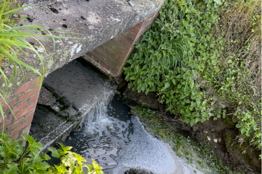 Fin de travaux sur le ruisseau le Buzet, Pont-à-Celles.
