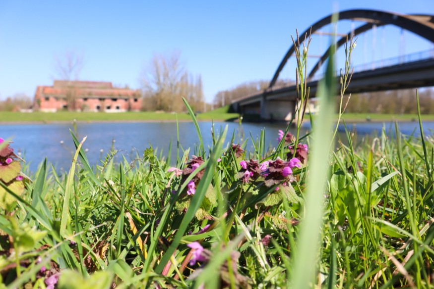 La réhabilitation du canal Conde-Pommeroeul est terminée : bientôt accessible à la navigation.